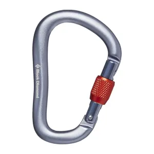 RockLock Screwgate Carabiner - Gray